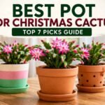 Best Pot for Christmas Cactus (2026) – Top 7 Picks Guide